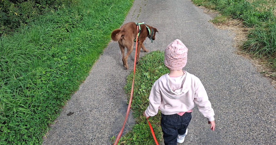 Kind mit Hund – Angebot Hund und Kind